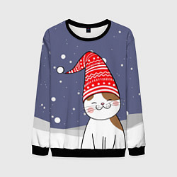 Свитшот мужской Котик в шапке, цвет: 3D-черный