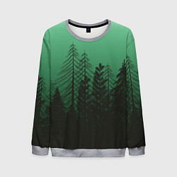 Свитшот мужской Зелёный туманный лес, цвет: 3D-меланж
