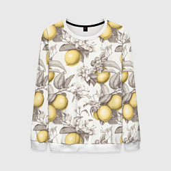 Свитшот мужской Лимоны - винтаж графика: паттерн, цвет: 3D-белый