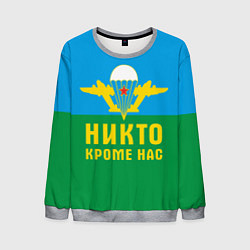 Мужской свитшот Никто кроме нас - ВДВ