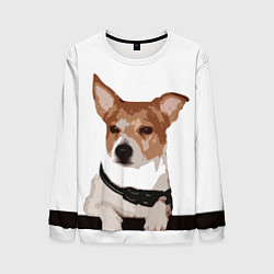 Свитшот мужской Джек-рассел терьер, цвет: 3D-белый