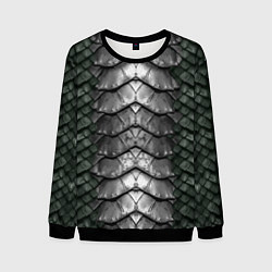 Свитшот мужской Dragon scales, цвет: 3D-черный