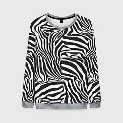 Свитшот мужской Шкура зебры черно - белая графика, цвет: 3D-меланж