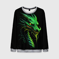 Свитшот мужской Зеленый дракон иллюстрация, цвет: 3D-меланж