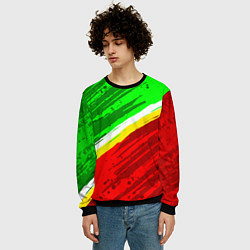 Свитшот мужской Расцветка Зеленоградского флага, цвет: 3D-черный — фото 2