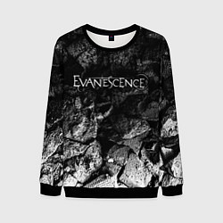 Мужской свитшот Evanescence black graphite