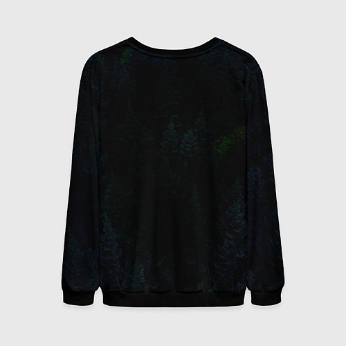 Мужской свитшот Медведь с символикой РФ / 3D-Черный – фото 2