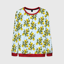 Мужской свитшот Ветка летних лимонов - голубые полосы