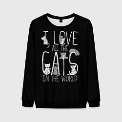 Свитшот мужской Я люблю всех котов в мире, цвет: 3D-черный