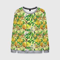 Свитшот мужской Птица на грушевом дереве, цвет: 3D-меланж