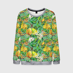 Свитшот мужской Груши и птицы, цвет: 3D-меланж