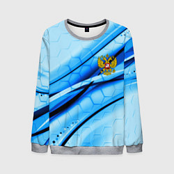 Мужской свитшот Герб РФ соты текстура