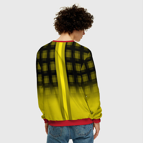 Мужской свитшот Герб РФ лого текстура / 3D-Красный – фото 4