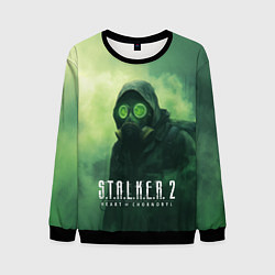 Свитшот мужской Stalker 2 сердце Чернобыля, цвет: 3D-черный