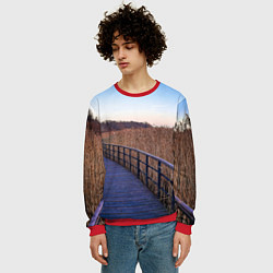 Свитшот мужской Камышовые плавни на Финском заливе, цвет: 3D-красный — фото 2