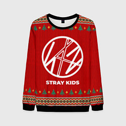 Свитшот мужской Stray Kids new year, цвет: 3D-черный