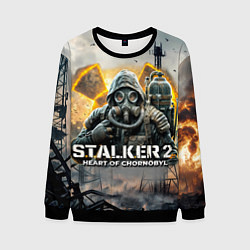 Свитшот мужской S t a l k e r Heart of Chornobyl, цвет: 3D-черный