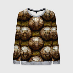 Свитшот мужской Броненосцы, цвет: 3D-меланж