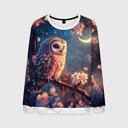 Свитшот мужской Сова и месяц, цвет: 3D-белый
