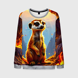 Мужской свитшот Сурикат в огне