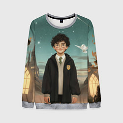 Свитшот мужской Гарри Поттер и белая сова, цвет: 3D-меланж