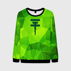 Свитшот мужской Tokio Hotel green poly, цвет: 3D-черный