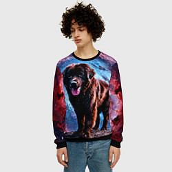 Свитшот мужской Ньюфаундленд в космосе, цвет: 3D-черный — фото 2
