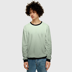 Свитшот мужской Бледный зелёный градиент текстура, цвет: 3D-черный — фото 2