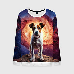 Свитшот мужской Фокстерьер в космосе, цвет: 3D-белый