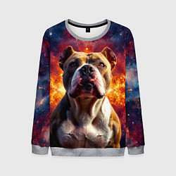 Свитшот мужской Американский булль в космосе, цвет: 3D-меланж