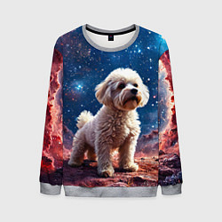 Свитшот мужской Бишон в космосе, цвет: 3D-меланж