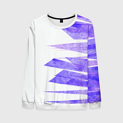 Мужской свитшот Color white purple
