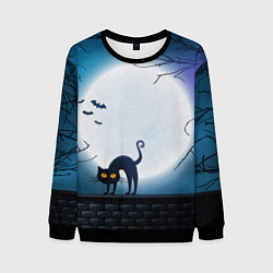 Свитшот мужской Полнолуние и черный кот - жуткий Хэллоуин, цвет: 3D-черный