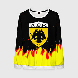Мужской свитшот AEK огненные краски