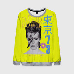 Свитшот мужской David Bowie 1973, цвет: 3D-меланж