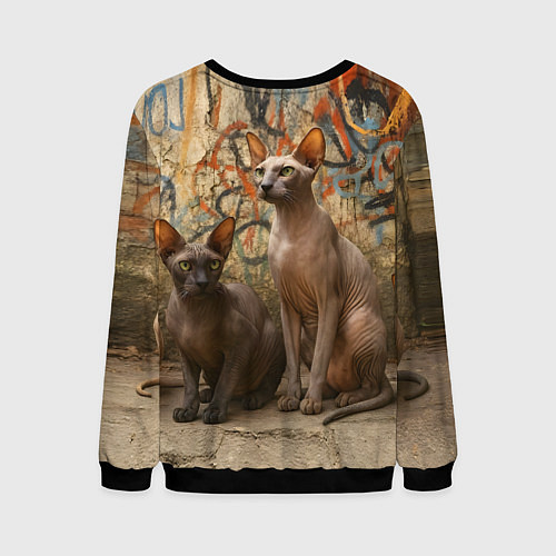 Мужской свитшот Петерболды сидят на фоне стены с граффити / 3D-Черный – фото 2