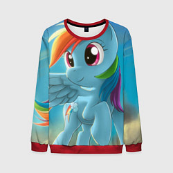 Мужской свитшот My littlle pony