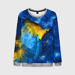 Свитшот мужской Космический попугай, цвет: 3D-меланж