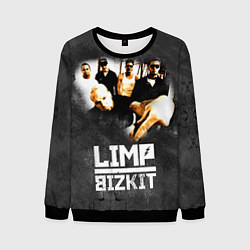 Свитшот мужской Limp Bizkit: Rock in to you, цвет: 3D-черный