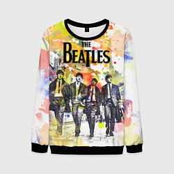 Свитшот мужской The Beatles: Colour Spray, цвет: 3D-черный