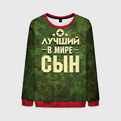 Мужской свитшот Лучший в мире сын