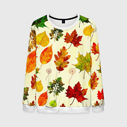 Свитшот мужской Осень, цвет: 3D-белый