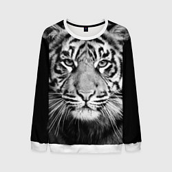 Свитшот мужской Красавец тигр, цвет: 3D-белый