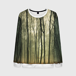 Свитшот мужской Чарующий лес, цвет: 3D-белый