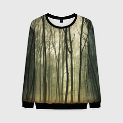 Свитшот мужской Чарующий лес, цвет: 3D-черный