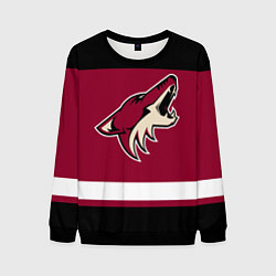 Мужской свитшот Arizona Coyotes