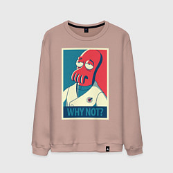 Свитшот хлопковый мужской Zoidberg: Why not?, цвет: пыльно-розовый