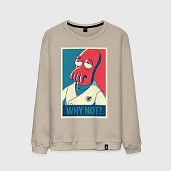 Мужской свитшот Zoidberg: Why not?