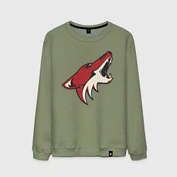 Свитшот хлопковый мужской Phoenix Coyotes, цвет: авокадо