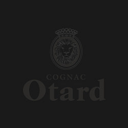 Свитшот хлопковый мужской Otard, цвет: черный — фото 2